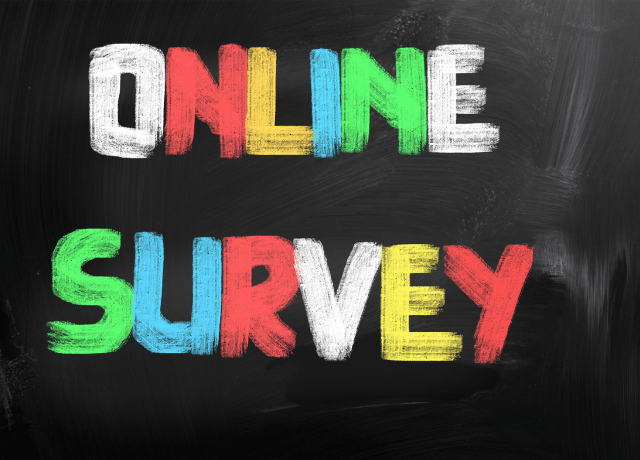 Online Surveys