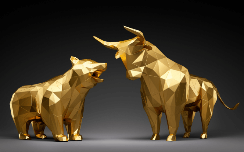 Stock Market Investing for Beginners
